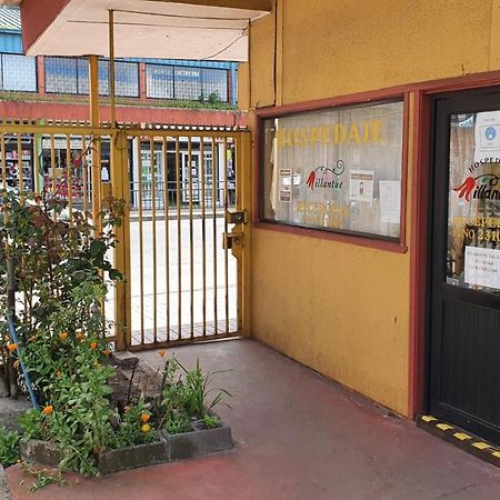 Hospedaje أوسورنو المظهر الخارجي الصورة